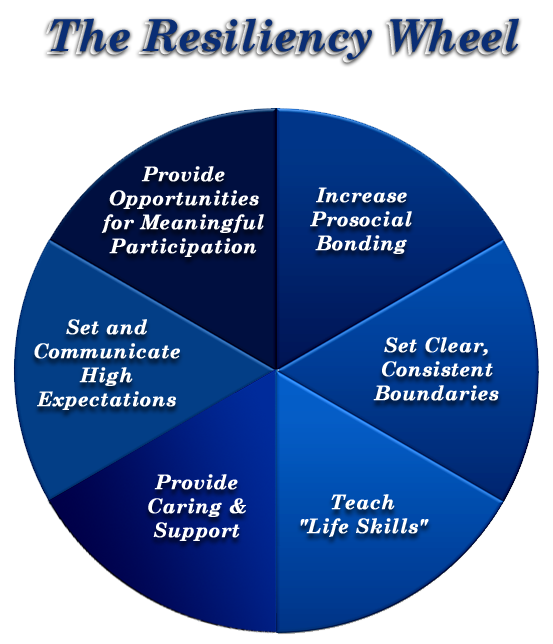 Resiliency Wheel